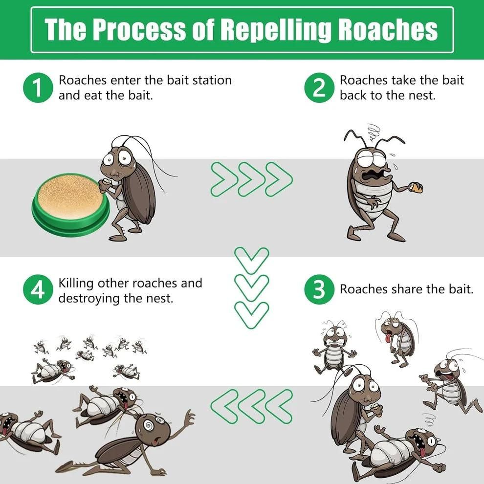 Cockroach Killer Gel – Powerful & Long-Lasting Protection (Pack of 2)